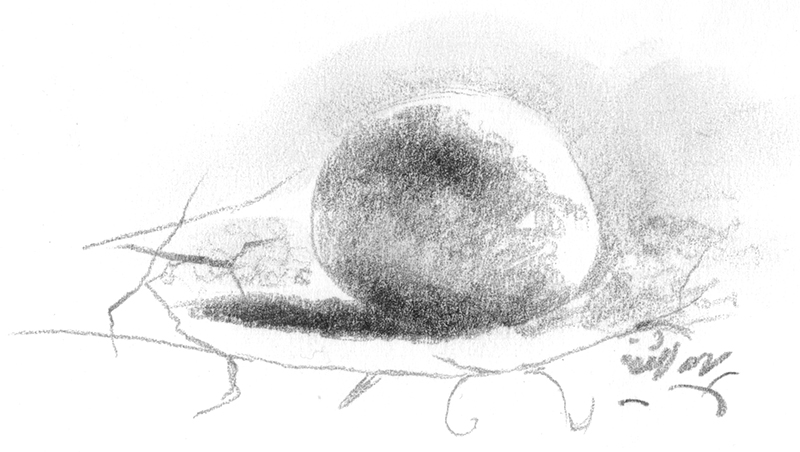 Illustration Kiesel