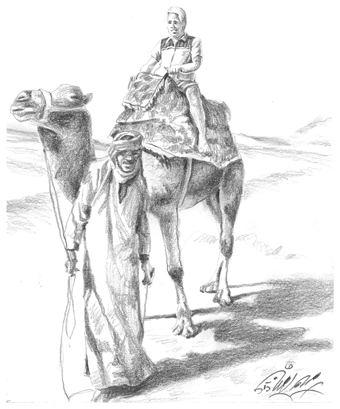 Illustration Kamelritt