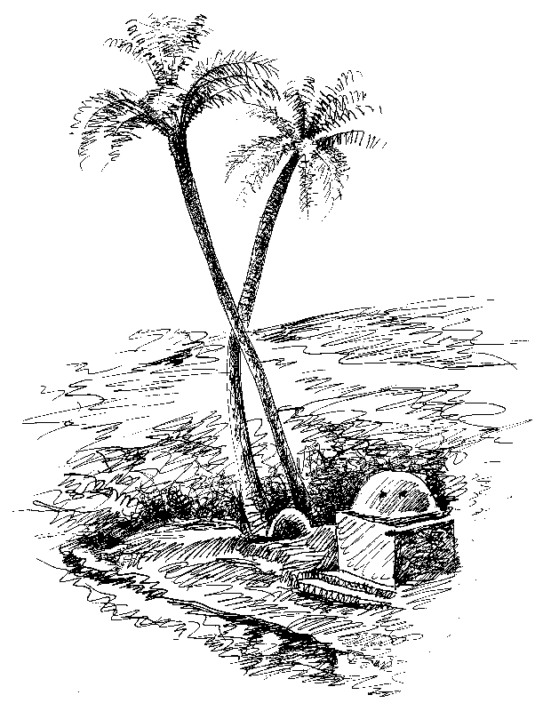 Illustration Palmenidylle