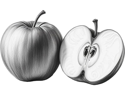 Zeichnung تُفَّاحَة