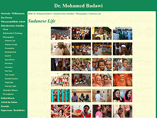 Screenshot www.mohamed-badawi.com (Version 2013)